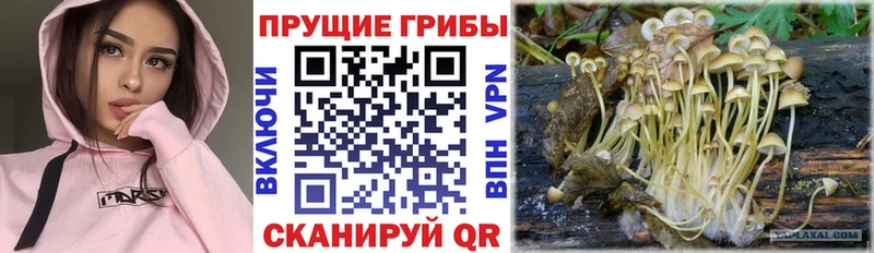 Купить закладки  Нижневартовск  Псилоцибиновые грибы MAGIC MUSHROOMS 